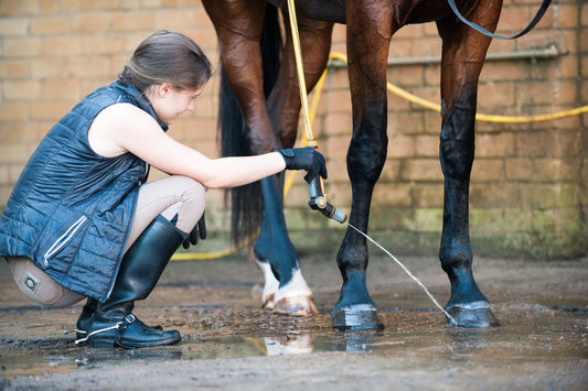 What Are The Must-Have Features In An Effective Horse Bathing System?